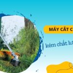 Sai Lầm Khi Chọn Máy Cắt Cỏ