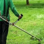 máy cắt cỏ tại Phú Thọ