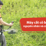 may cat co bi hut hoi