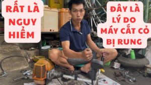 may cat co bi rung