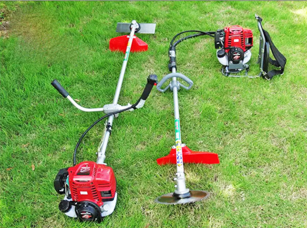 may cat co tai Quang Ninh